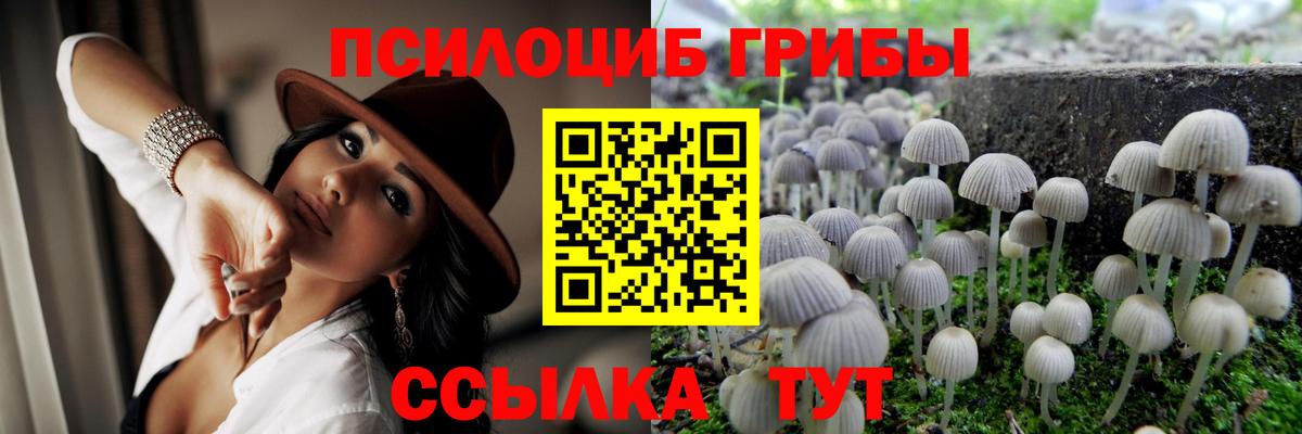 Абинск  Галлюциногенные грибы Cubensis  Вход с VPN 